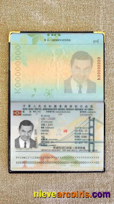 Hong Kong pass photolook